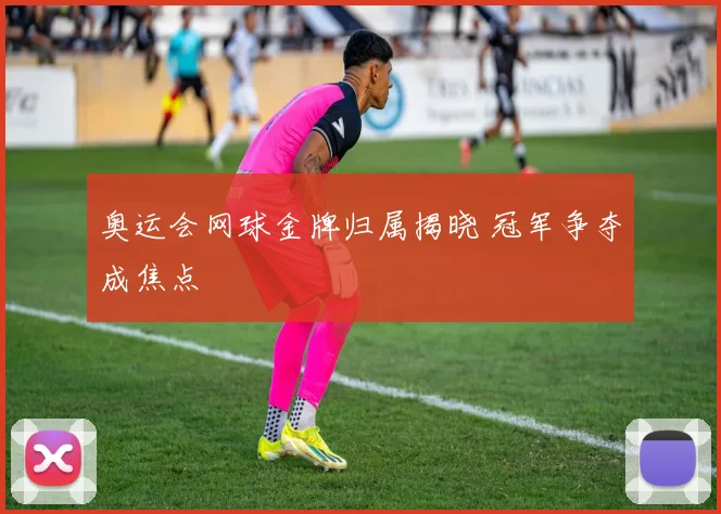 奥运会网球金牌归属揭晓 冠军争夺成焦点